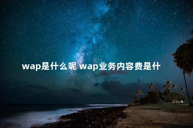 wap是什么呢 wap业务内容费是什么